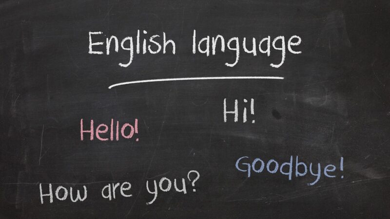 オンライン日本語教師は英語や中国語が話せないとできないの？⇒結論「できます！」 